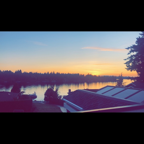 Meet your Posher, Lucy - Picture 1 of 1